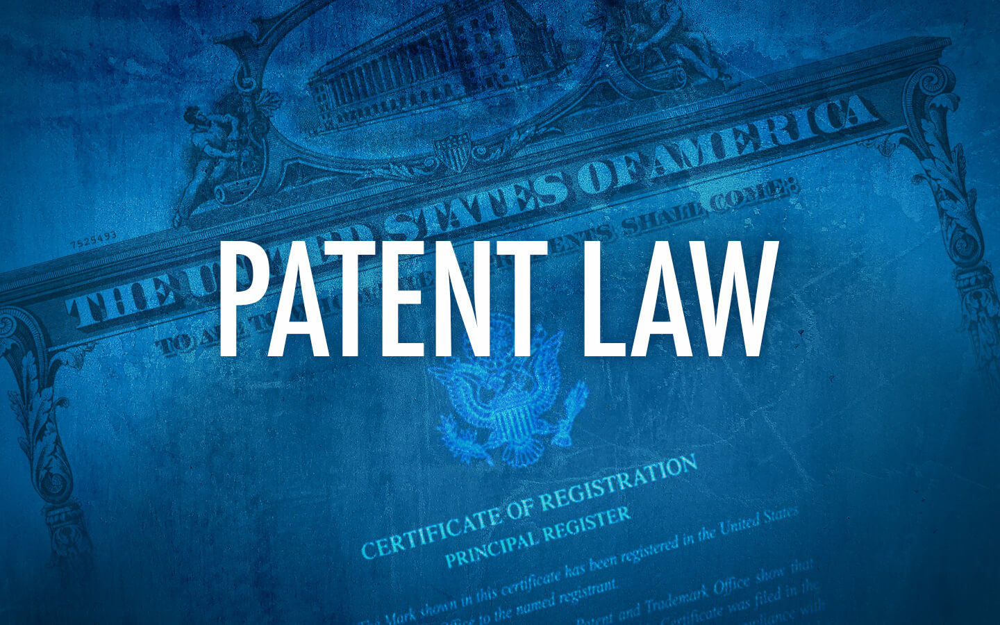Melvin K Silverman banner for Patent Law: The Ultimate Guide